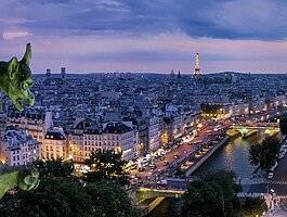 Pariz 4 dana